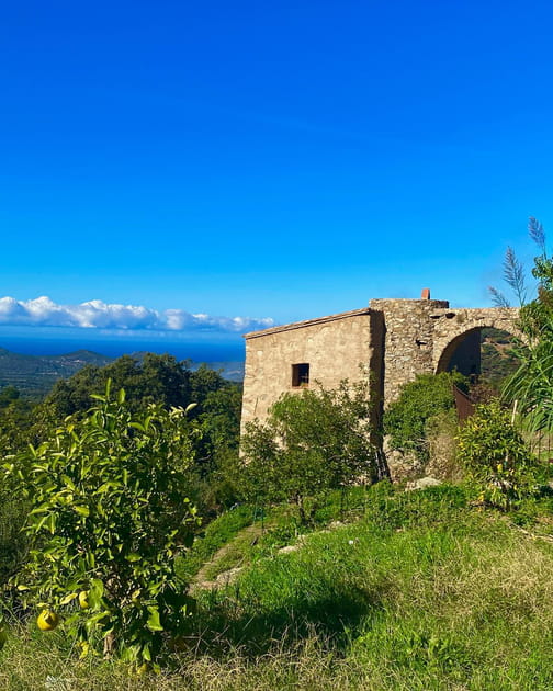 Le moulin génois de Christine Bravo