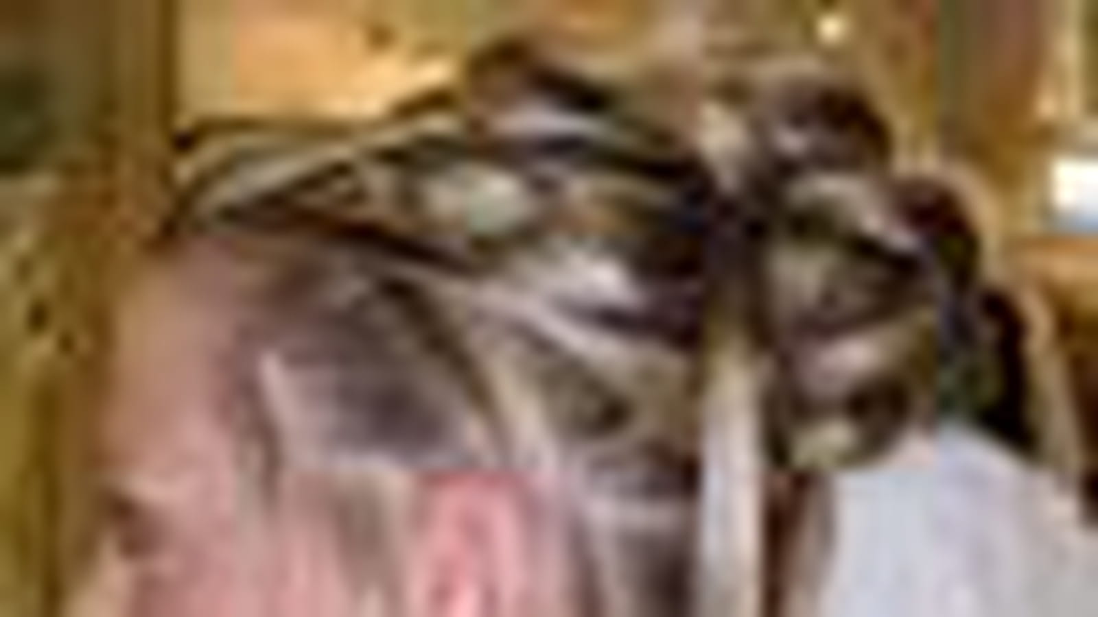 Chignon port princier