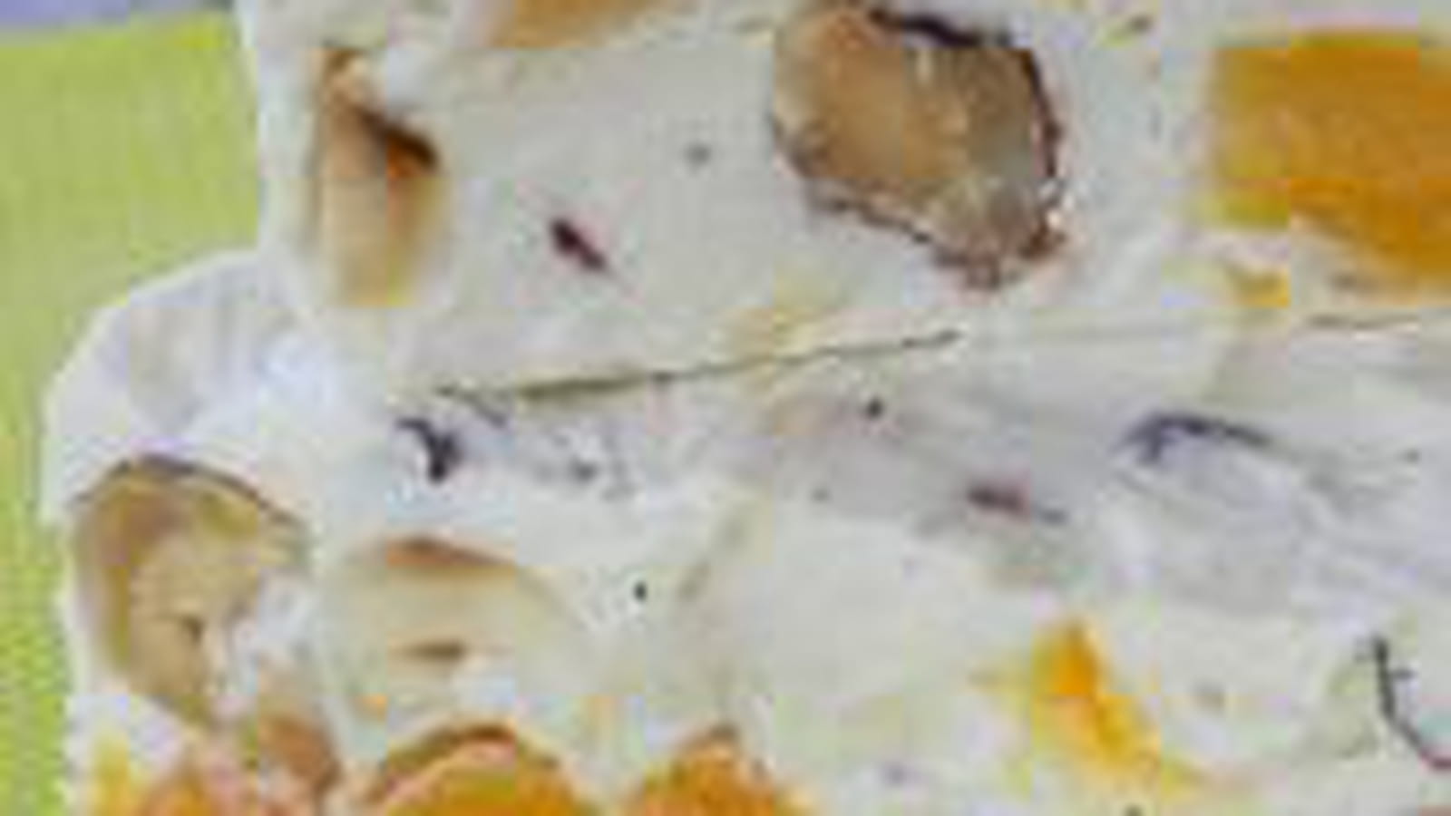 Nougat de chèvre