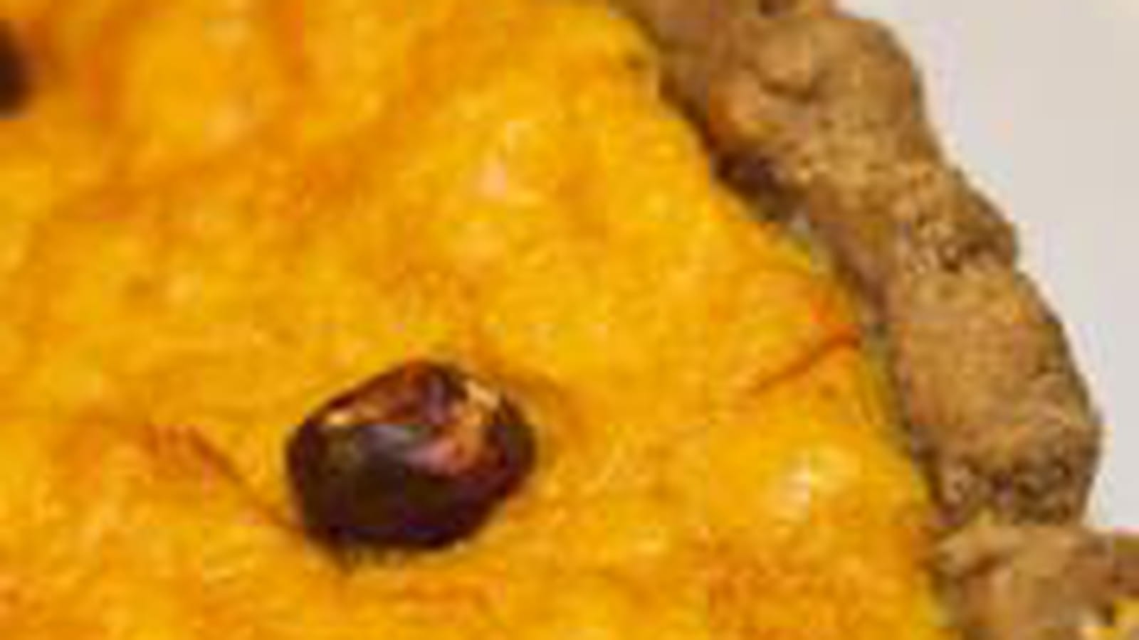Tarte châtaignes potiron