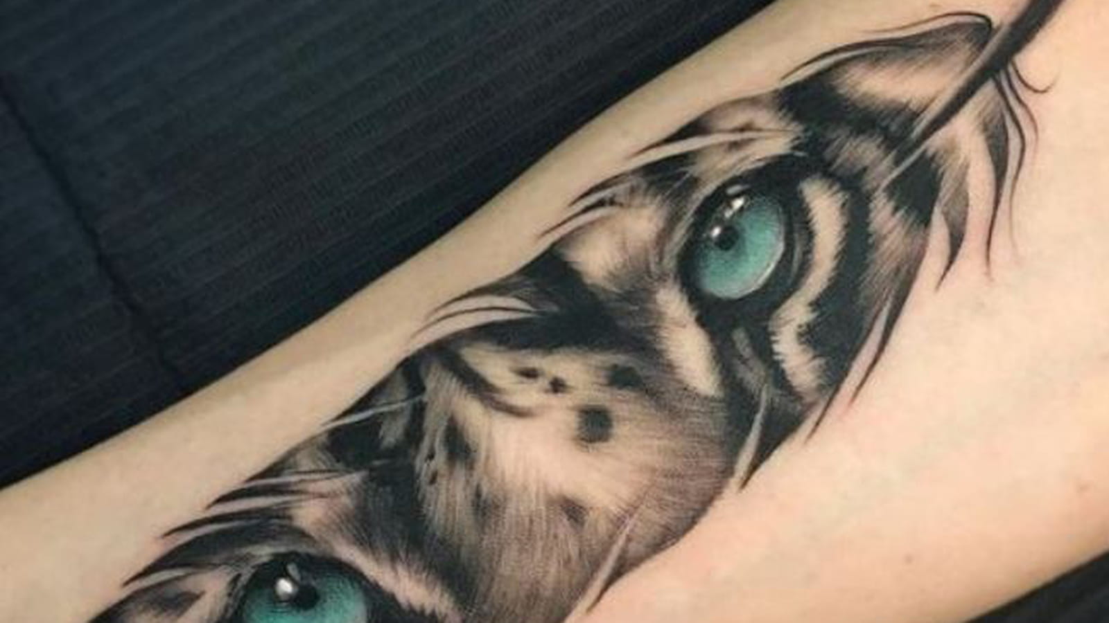 Regard de tigre sur l'avant-bras