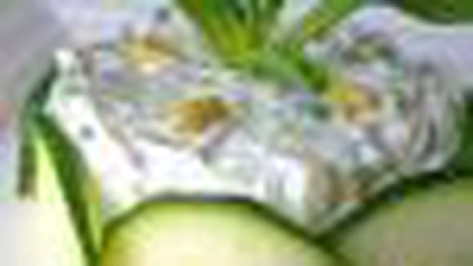 Courgette