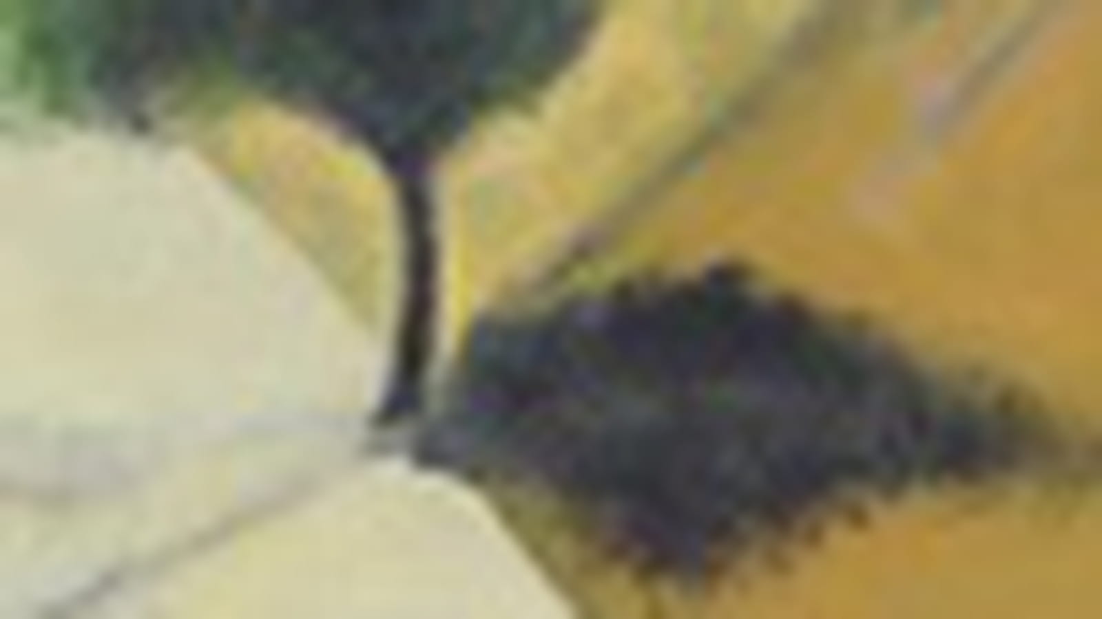 Arbre