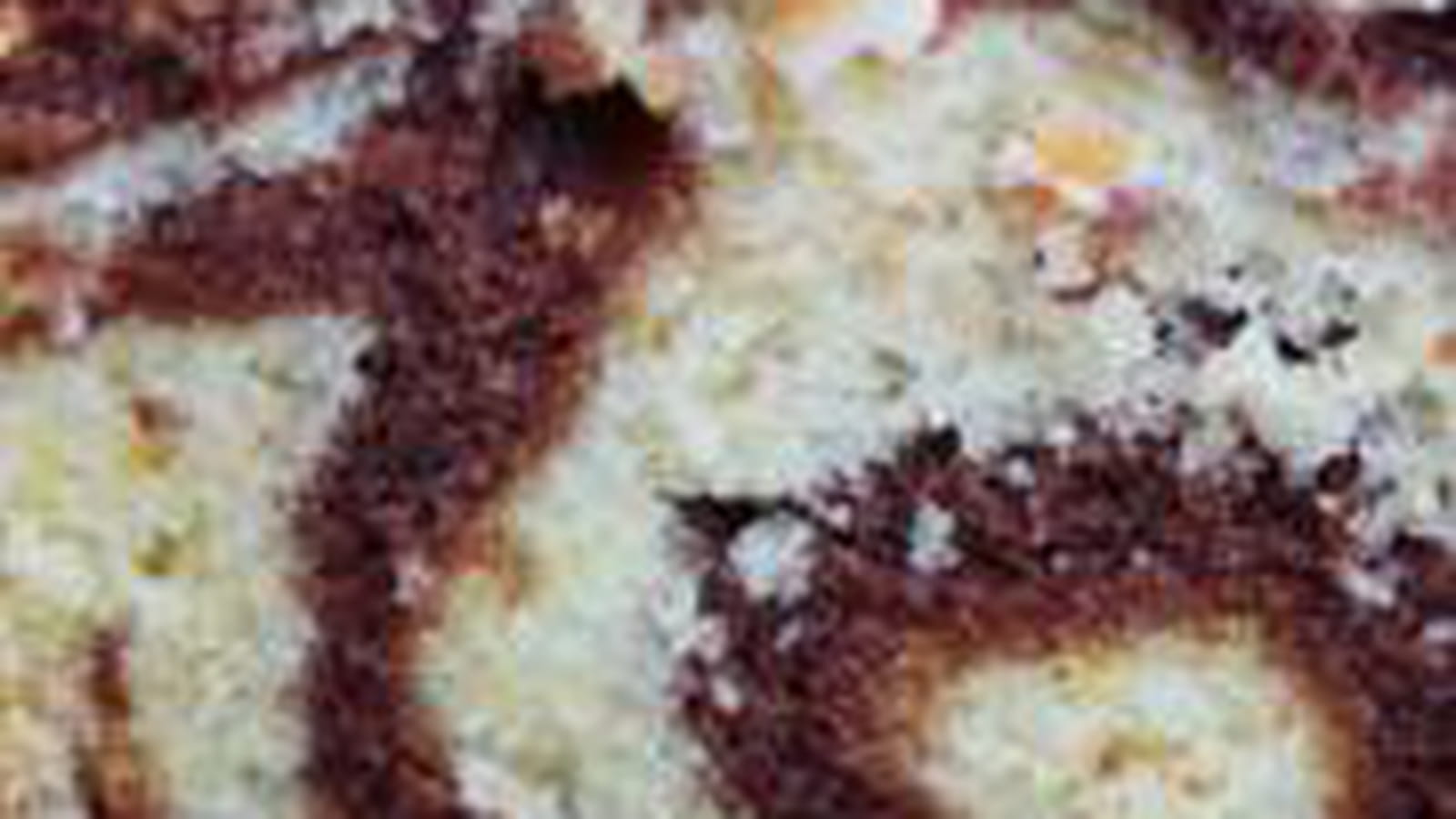 Gâteau marbré aux amandes effilées