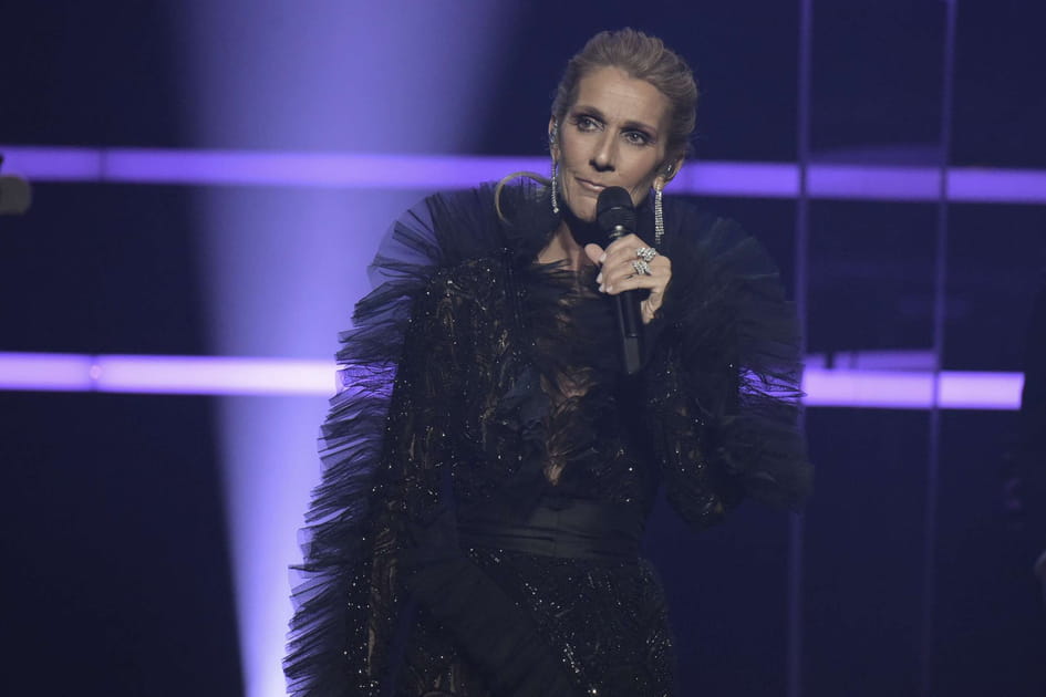 FLOP&nbsp;: C&eacute;line Dion et son coiff&eacute;-d&eacute;coiff&eacute;
