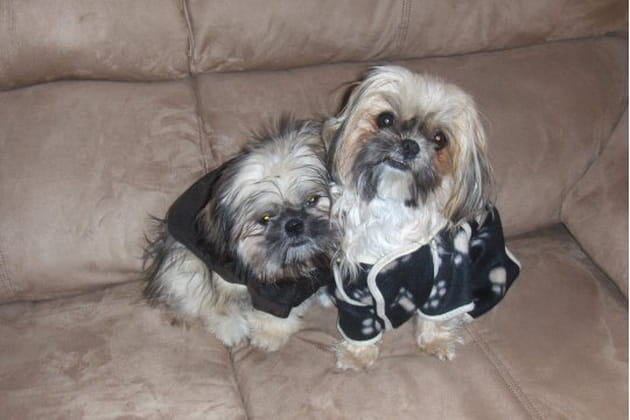 Un joli petit couple