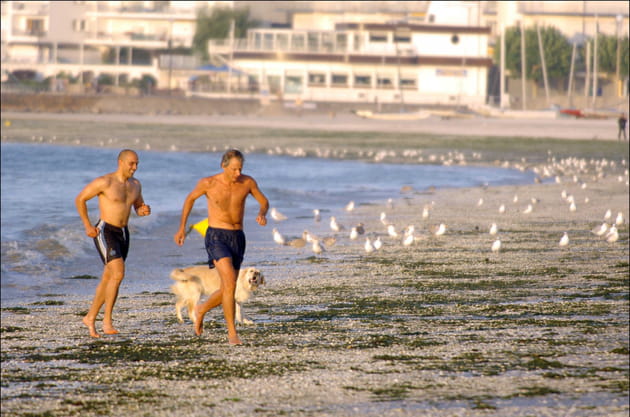 Dominique de Villepin fait son jogging à la Baule (2005)