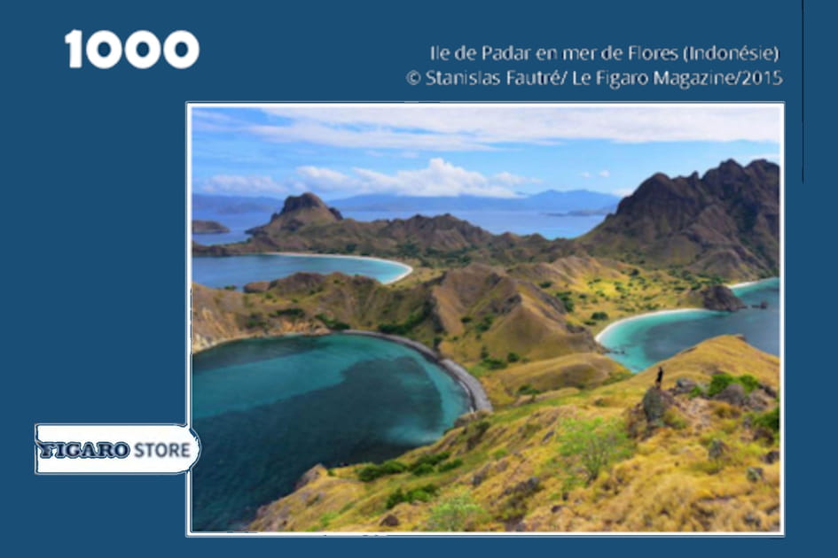 Puzzle Figaro Magazine