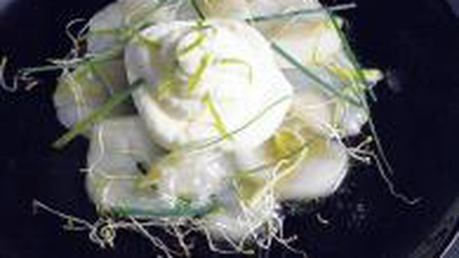 St Jacques chantilly citron