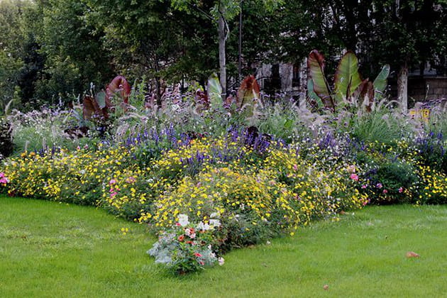 L'exostisme de la place Wagram