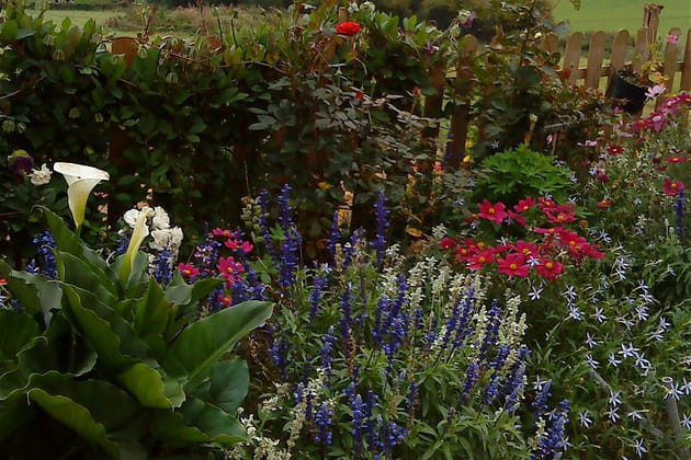 Le jardin de Martine