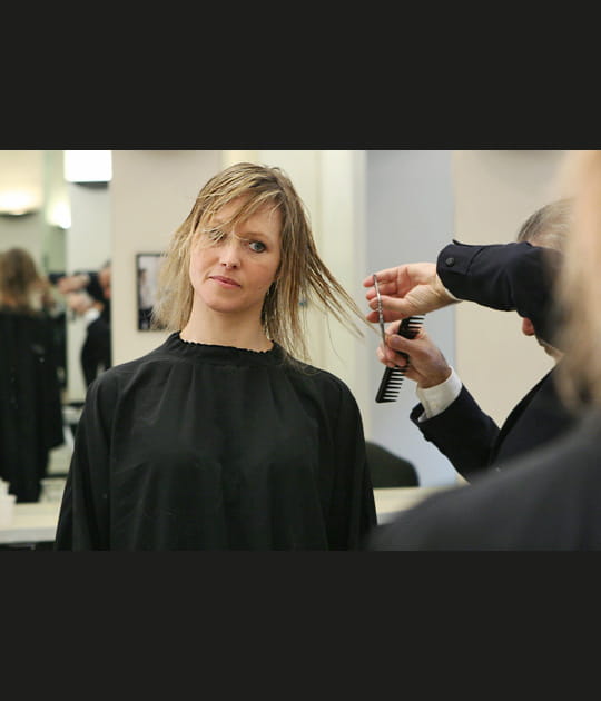 Une coupe a&eacute;rienne