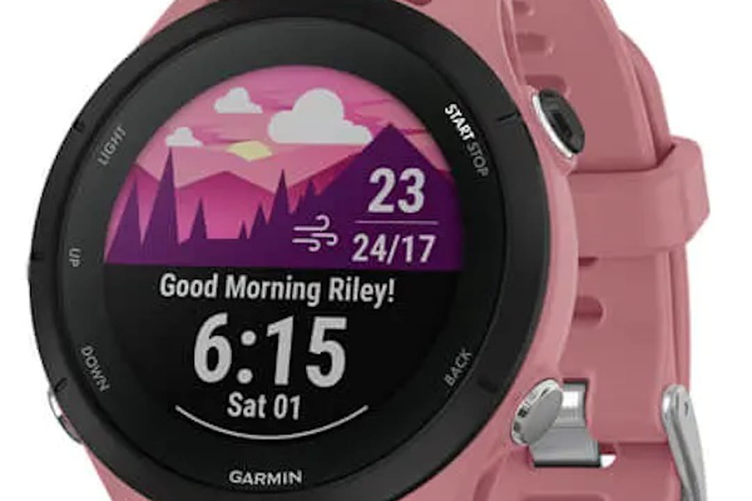 Montre connectée Garmin Venu 2 Silver avec bracelet bleu