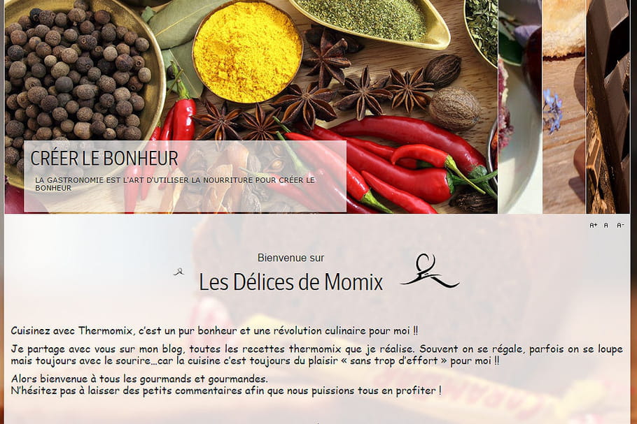 Thermomix : les meilleurs blogs