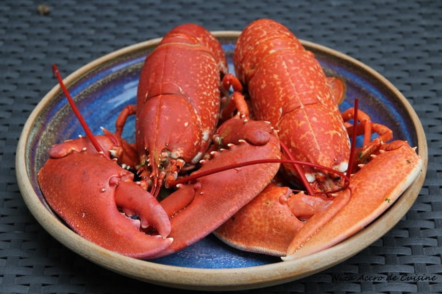 Comment cuire un homard ?
