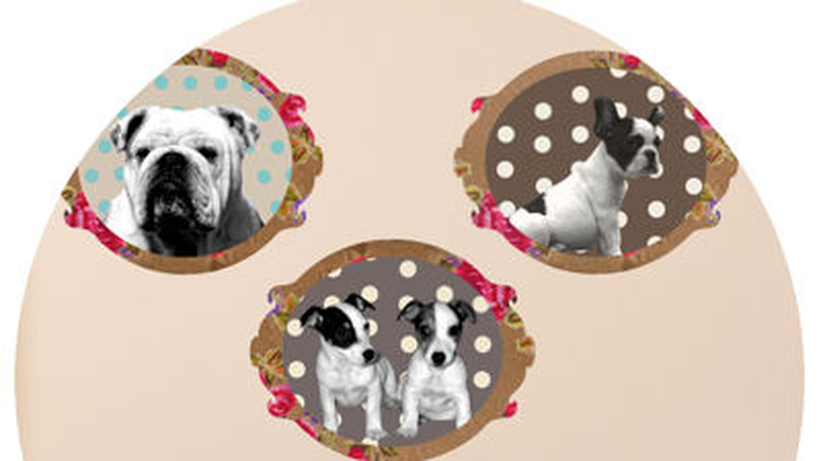 "Portraits dogs"