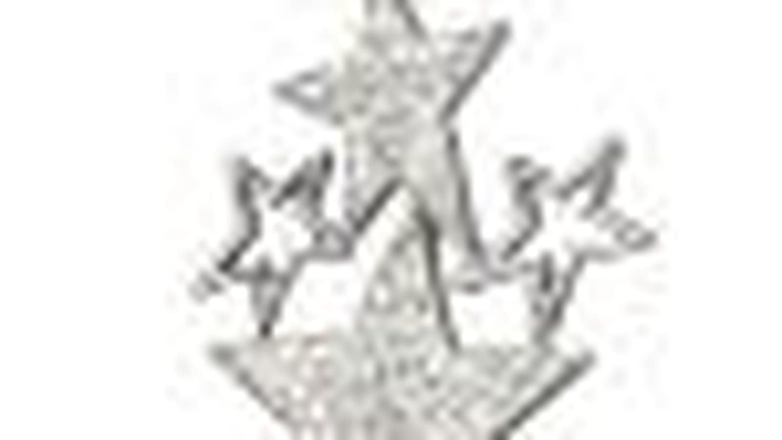 La broche "Flicker" de Swarovski