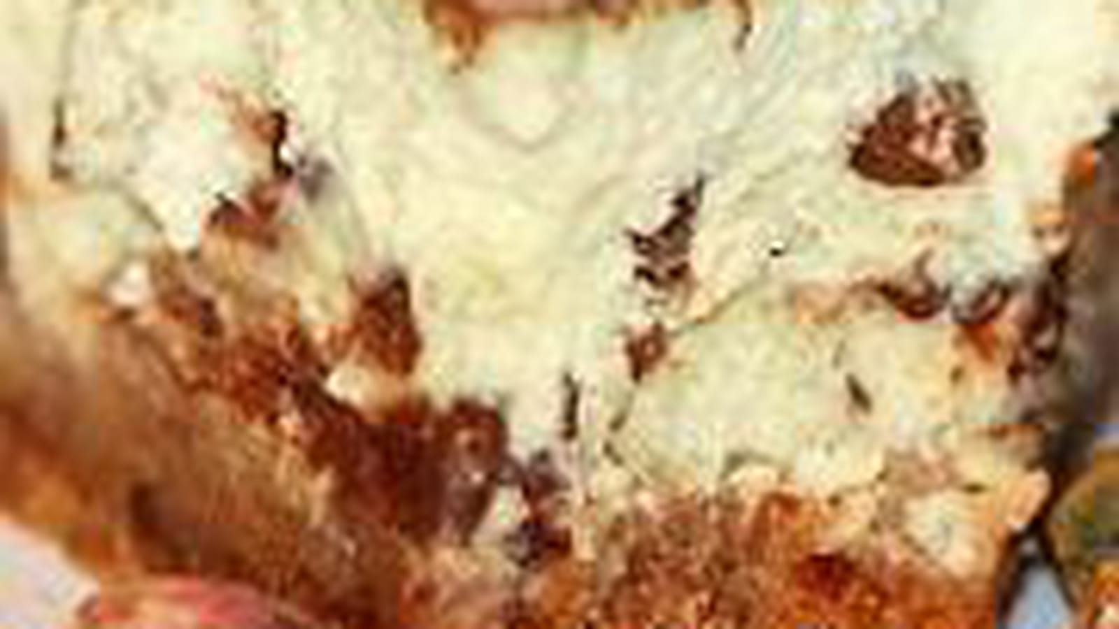 Cheesecake à la pistache