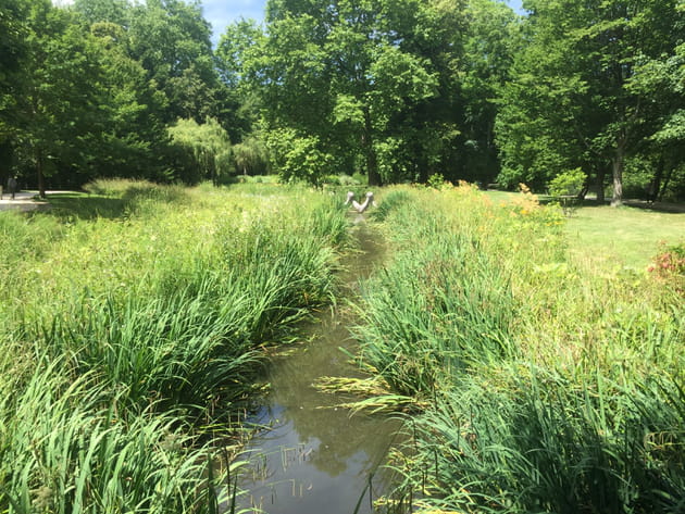 Et au milieu coule une rivière