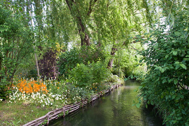 La naissance du jardin d'eau