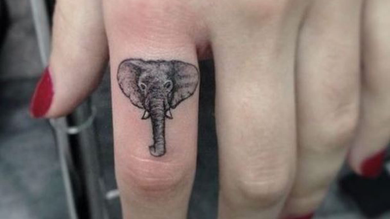 Tête d'éléphant sur le doigt