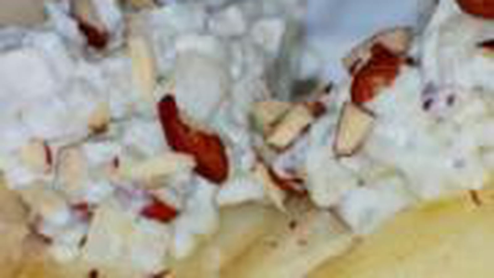 Poire au roquefort