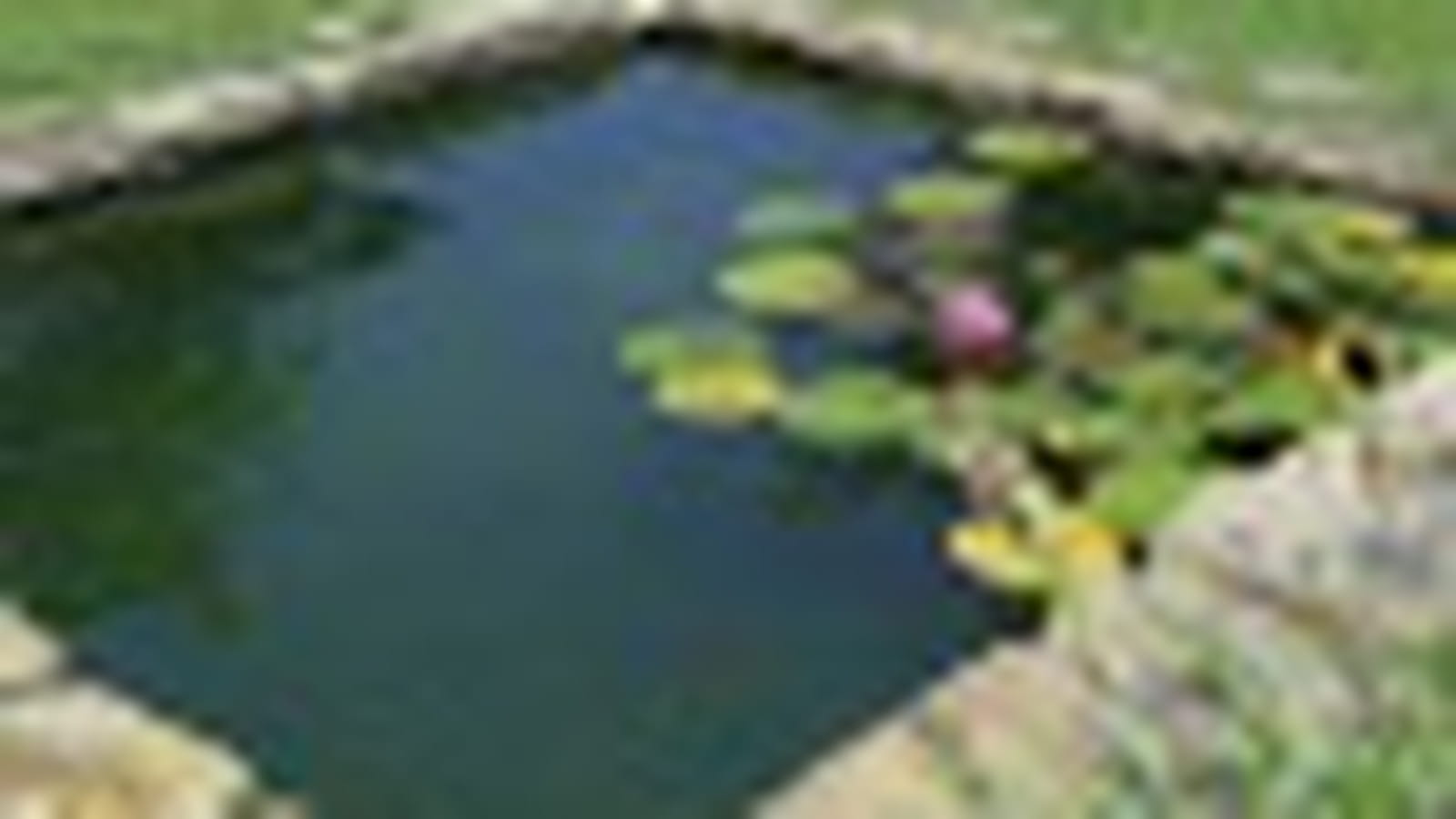 Bassin