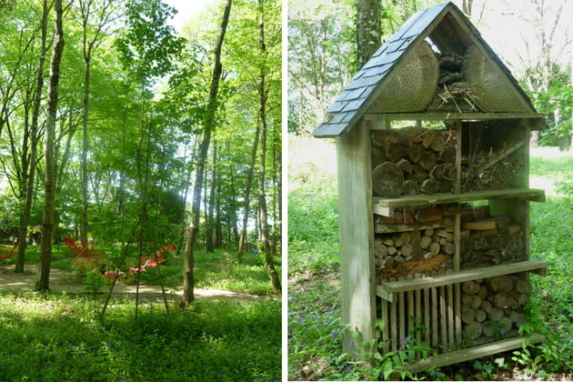 Un jardin zen et bio