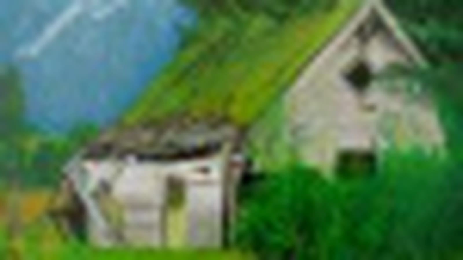 Cabane
