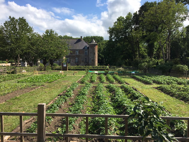 Le jardin potager à compartiments du Château d'Esquelbecq