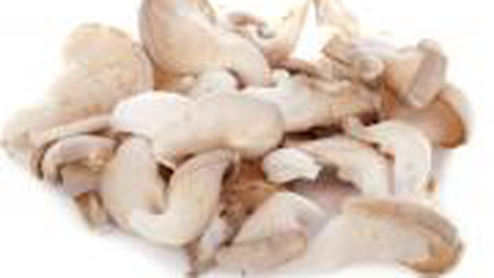 Pied-de-mouton