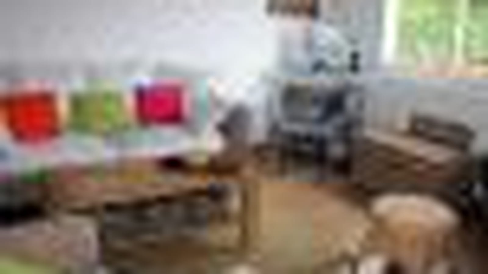 Le salon de Fanny