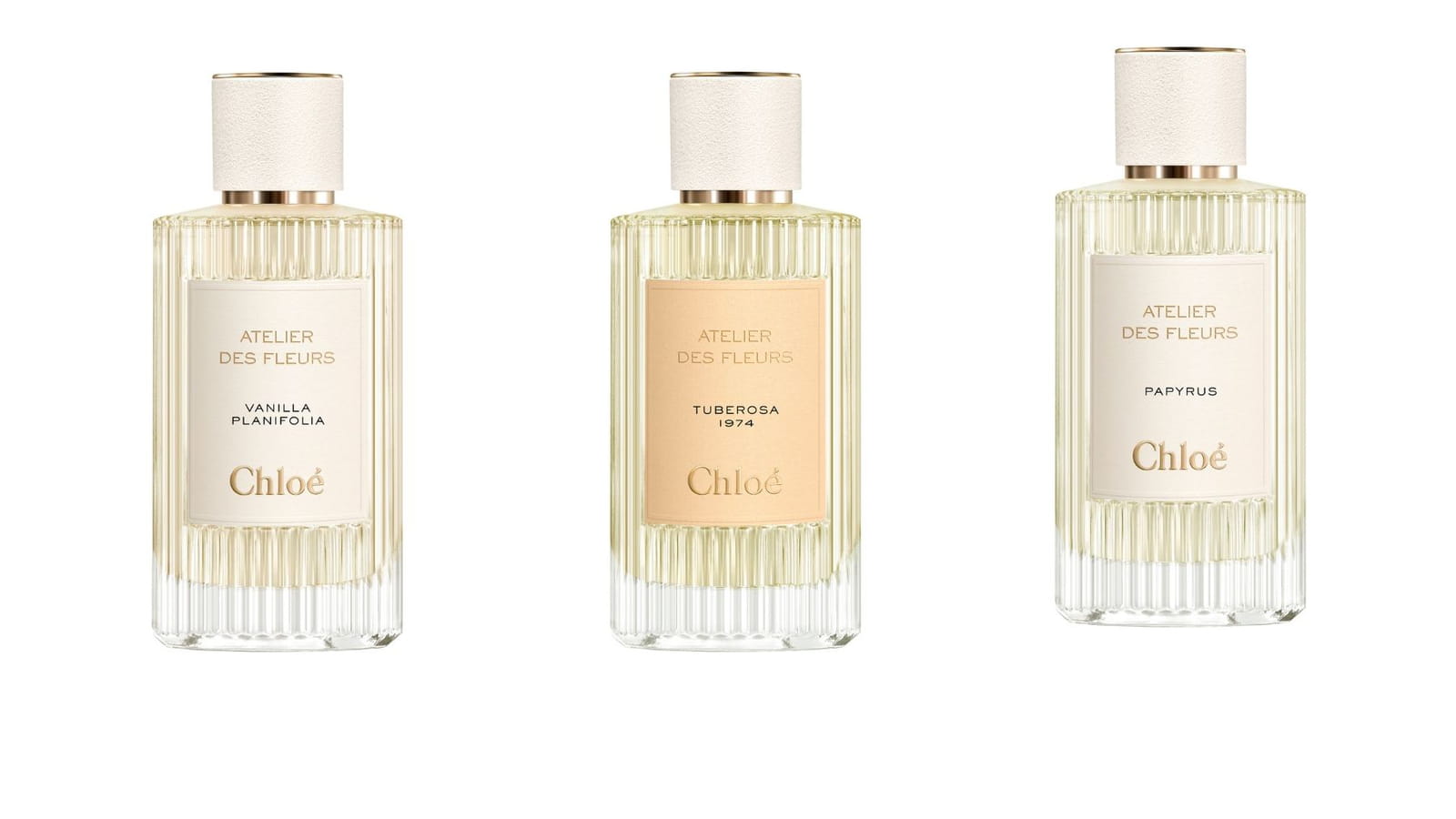 Collection L’Atelier Des Fleurs, Chloé 