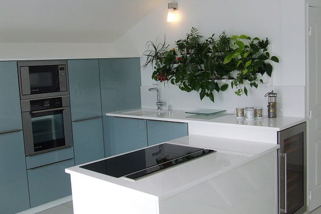 Des plantes pour sublimer sa cuisine