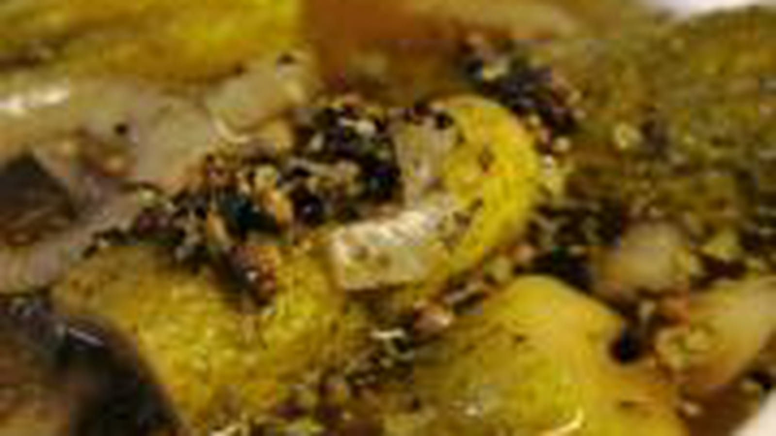 Cornichons marinés maison