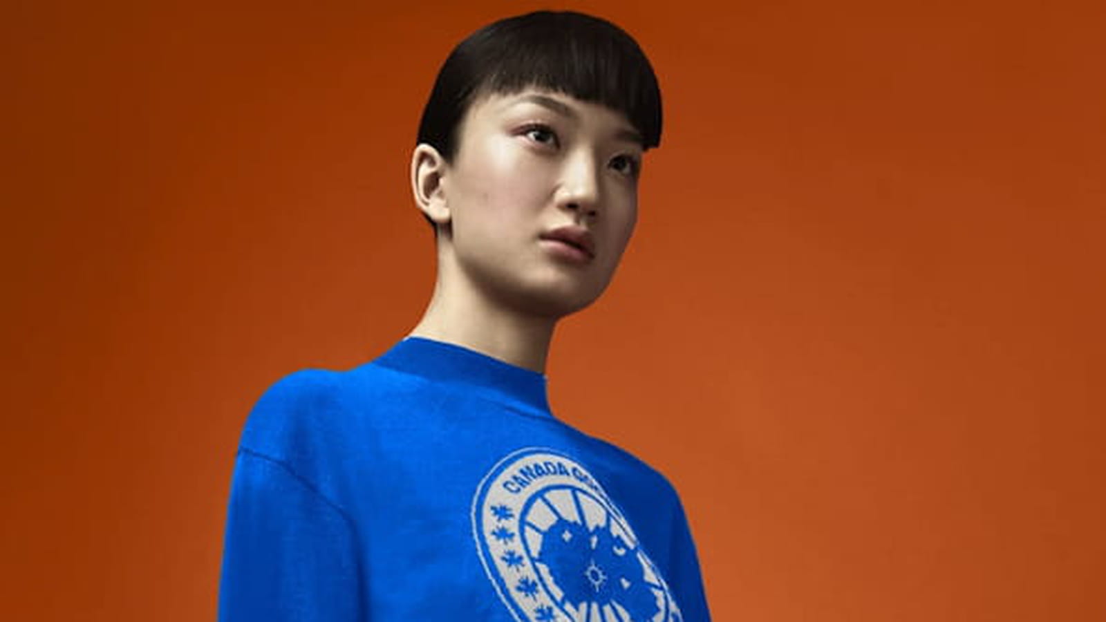 Pull Canada Goose