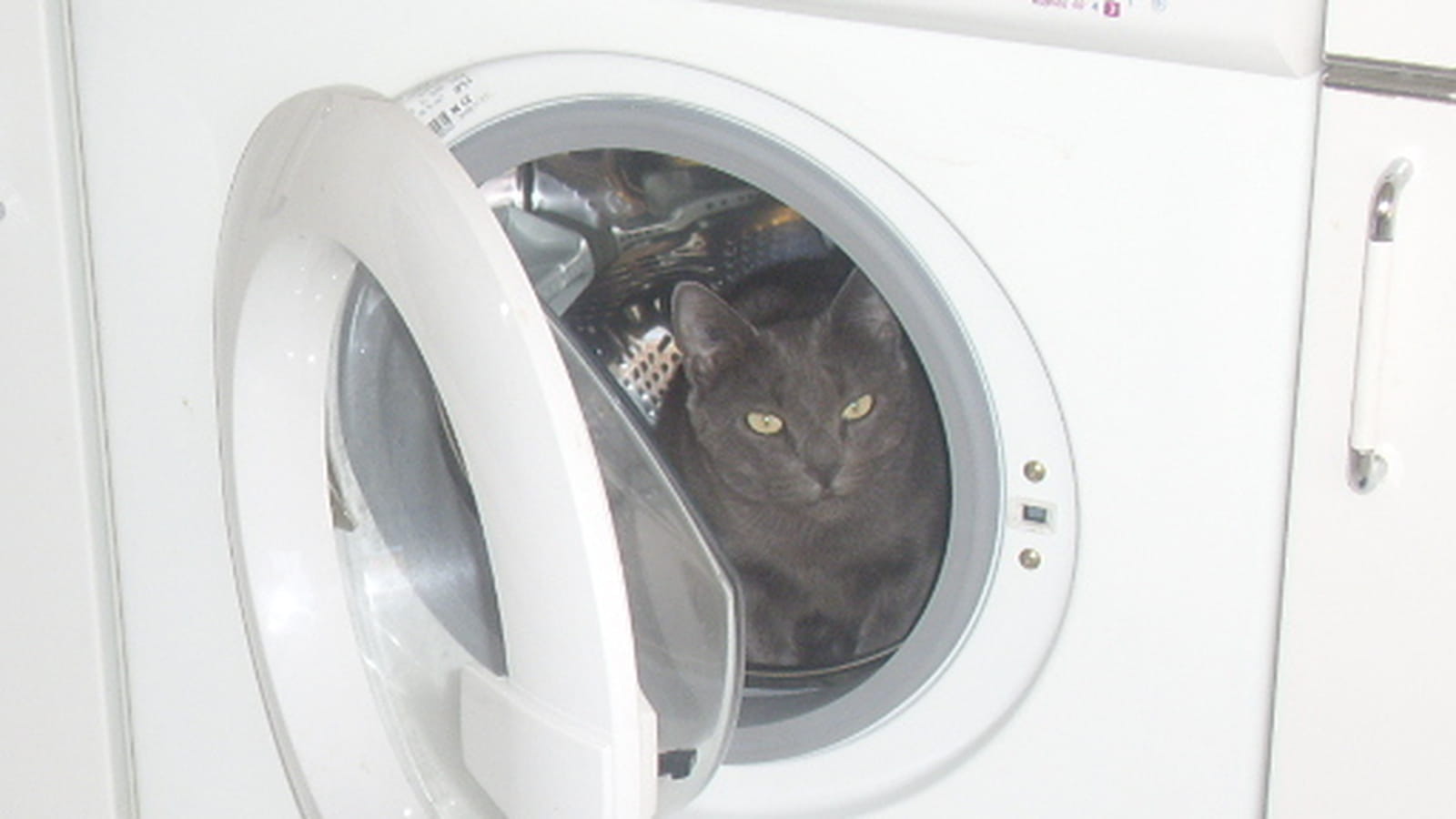 Dans la machine