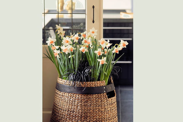 Un avant-go&ucirc;t de jardin