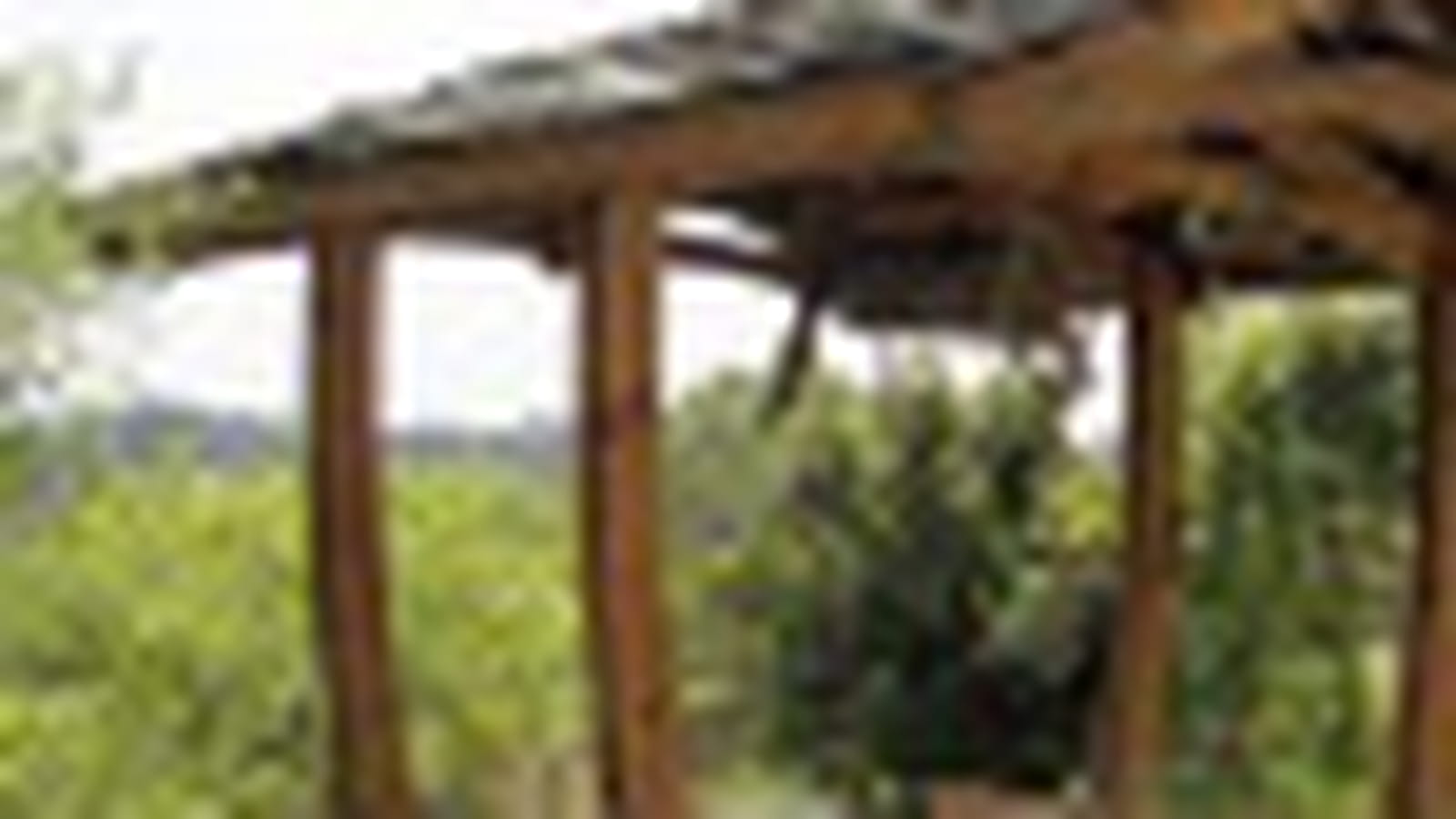 Cabane pour l'ombre