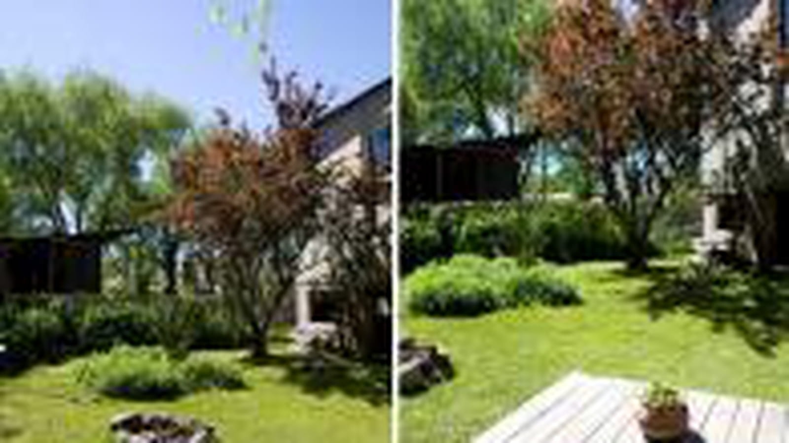Jardin