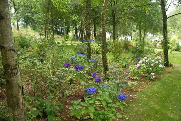 Un bois devenu jardin