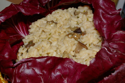 Risotto au parmesan en coque de trévise