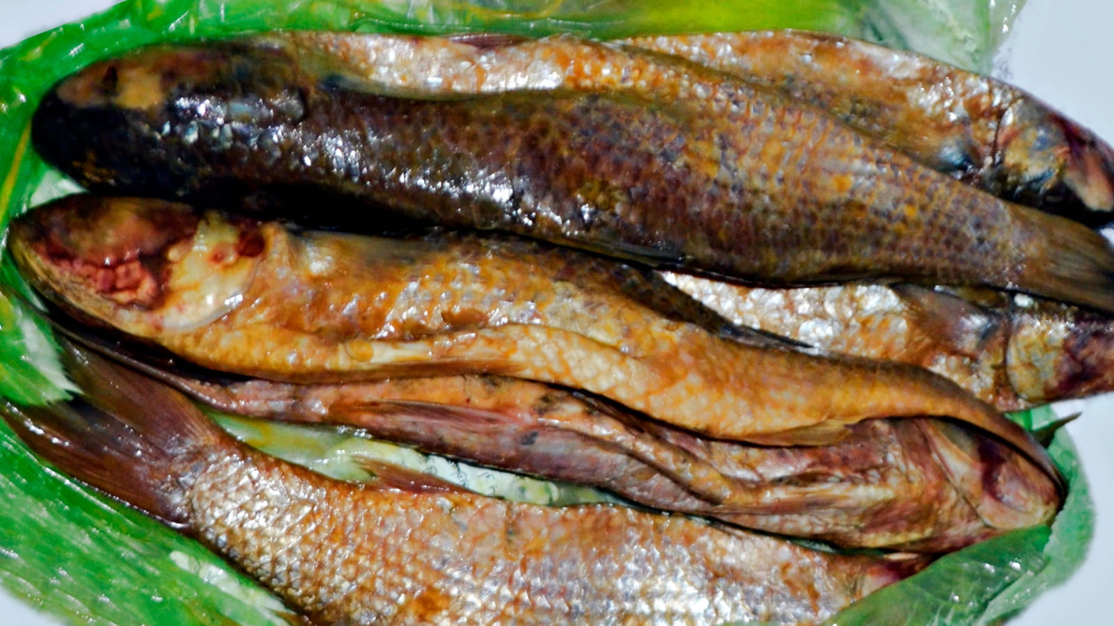 Le Fesikh