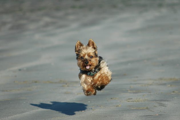 Olympe &agrave; la plage