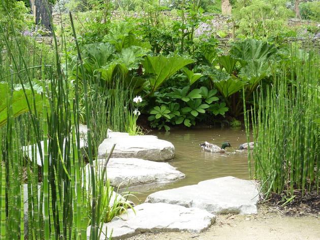 Un jardin poétique et authentique