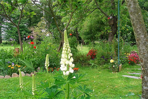 Votre jardin de lecteur préféré