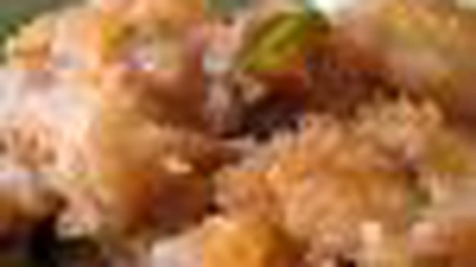 Bananes aux épices