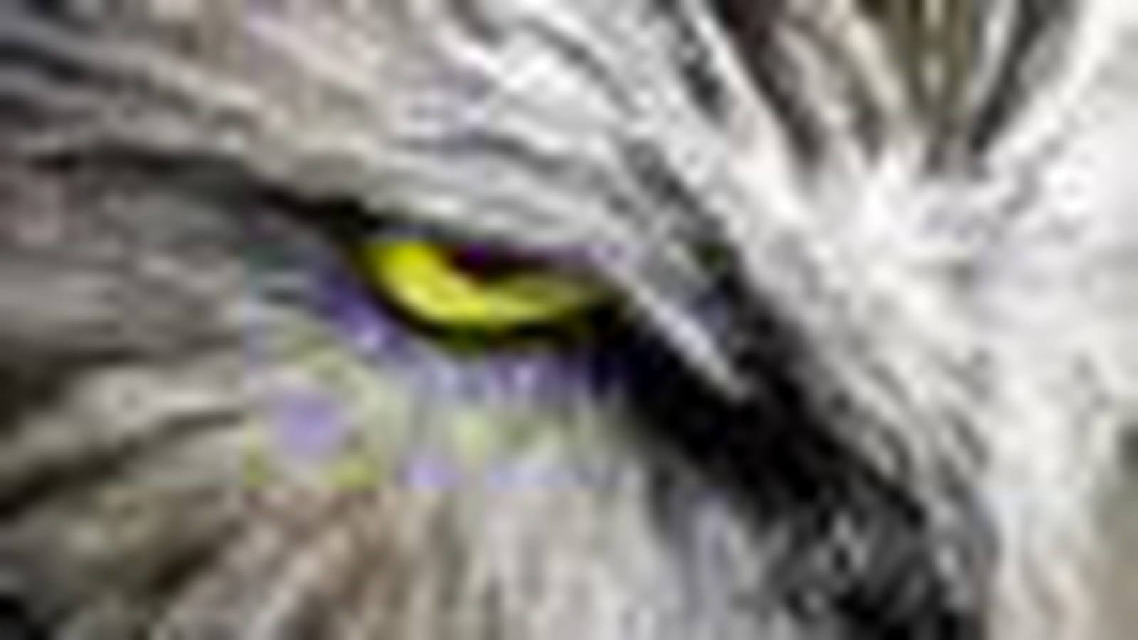Hibou