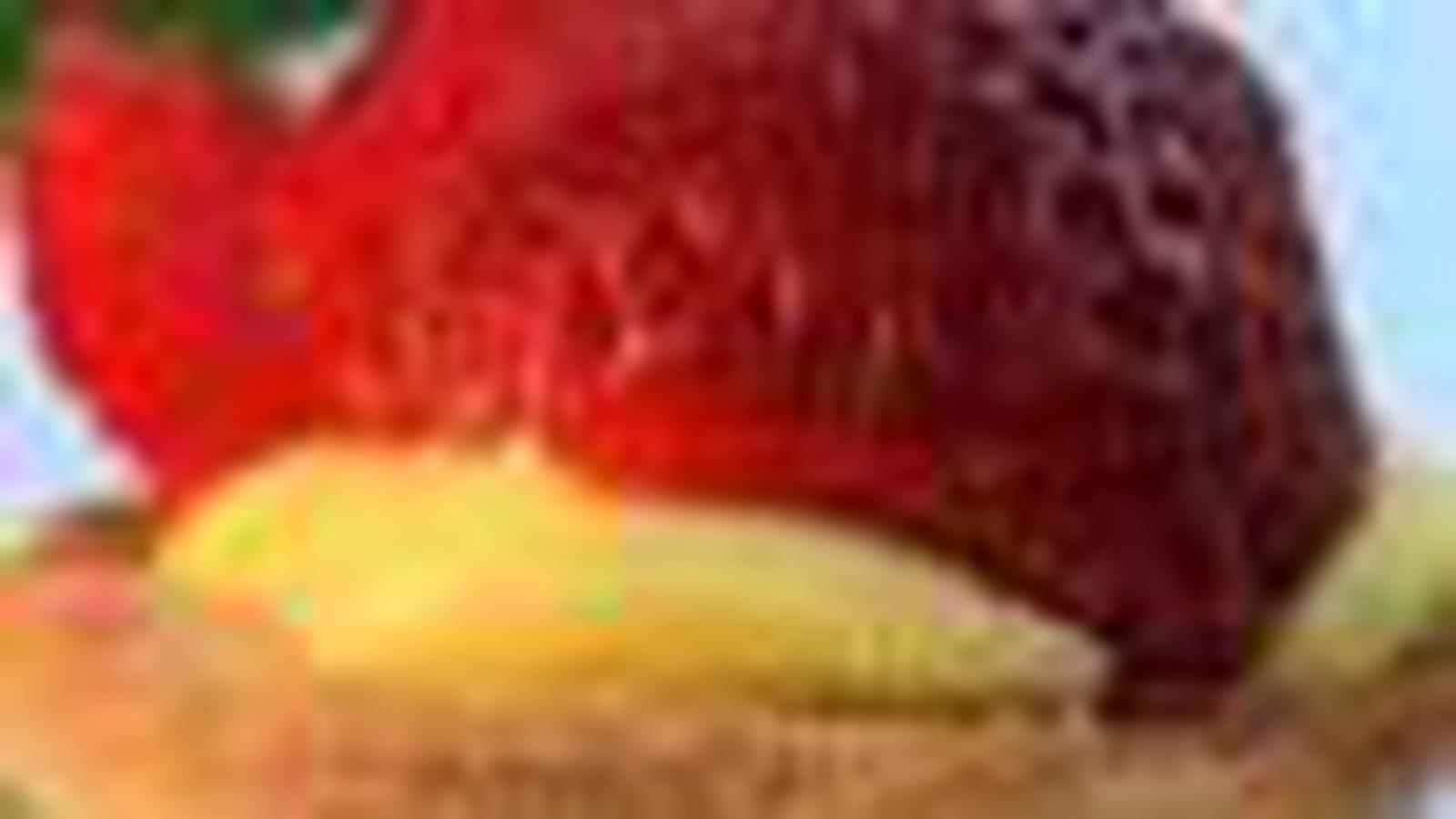 Tartelettes aux fraises