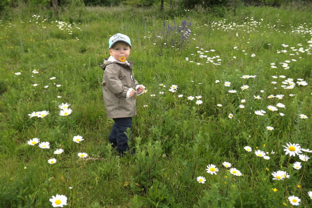Mathias, admiratif devant des marguerites
